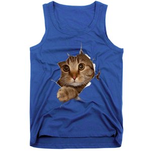 Sweet Kitten Torn Cloth Funny Cat Lover Cat Owner Cat Lady Gift Tank Top