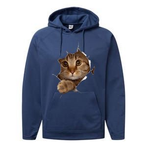 Sweet Kitten Torn Cloth Funny Cat Lover Cat Owner Cat Lady Gift Performance Fleece Hoodie