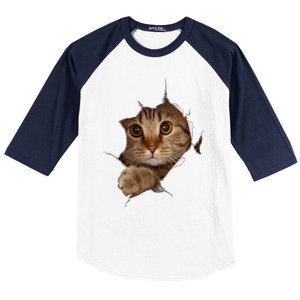 Sweet Kitten Torn Cloth Funny Cat Lover Cat Owner Cat Lady Gift Baseball Sleeve Shirt