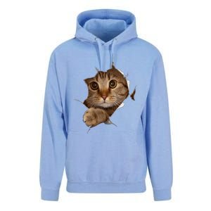 Sweet Kitten Torn Cloth Funny Cat Lover Cat Owner Cat Lady Gift Unisex Surf Hoodie