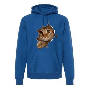 Sweet Kitten Torn Cloth Funny Cat Lover Cat Owner Cat Lady Meaningful Gift Premium Hoodie