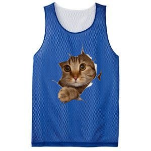 Sweet Kitten Torn Cloth Funny Cat Lover Cat Owner Cat Lady Meaningful Gift Mesh Reversible Basketball Jersey Tank