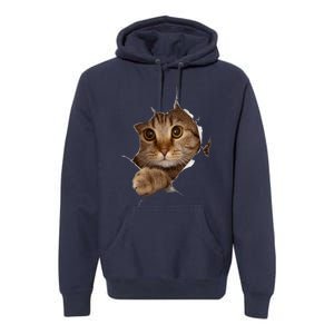 Sweet Kitten Torn Cloth - Funny Cat Lover Cat Owner Cat Lady Premium Hoodie