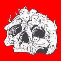 Skull Head With Cats Sweatshirt