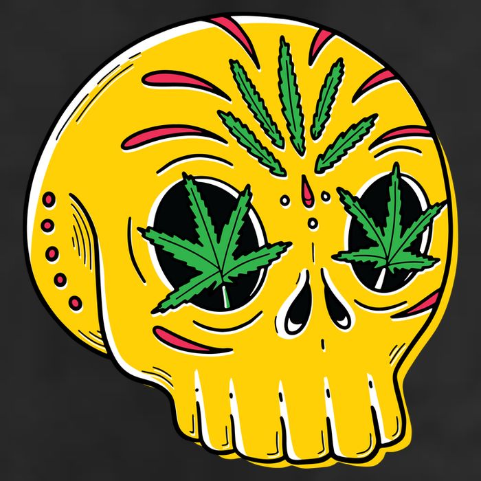 Skull Weed 7 Panel Mesh Trucker Snapback Hat