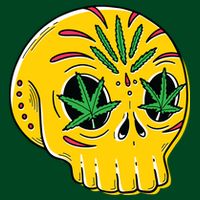 Skull Weed Cooling Performance Crew T-Shirt