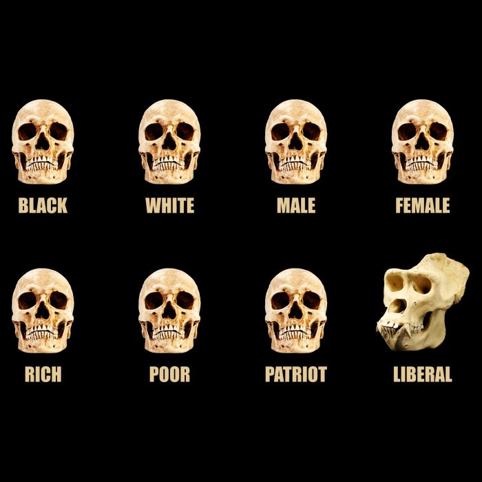 Skulls of Modern America Funny Liberal Monkey Skull Mug