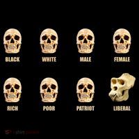 Skulls of Modern America Funny Liberal Monkey Skull 16 in Basic Backpack
