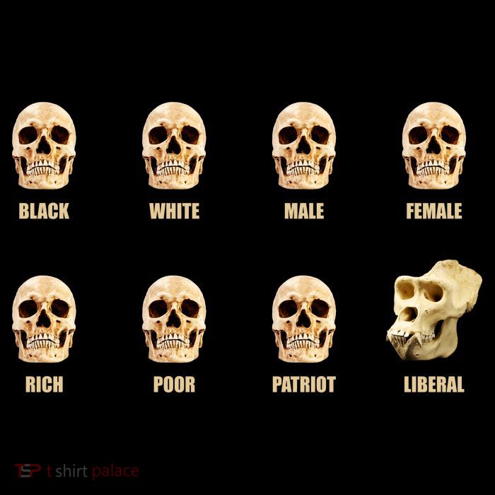 Skulls of Modern America Funny Liberal Monkey Skull 16 in Basic Backpack