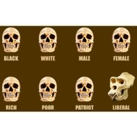 Skulls of Modern America Funny Liberal Monkey Skull Bumper Sticker