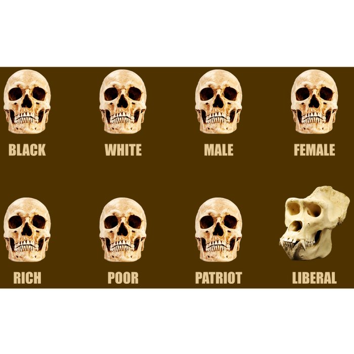 Skulls of Modern America Funny Liberal Monkey Skull Bumper Sticker