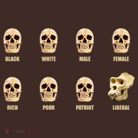 Skulls of Modern America Funny Liberal Monkey Skull Poster