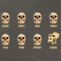 Skulls of Modern America Funny Liberal Monkey Skull Cotton Canvas Backpack
