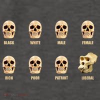 Skulls of Modern America Funny Liberal Monkey Skull Vector Backpack