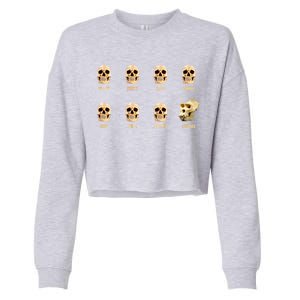 Skulls of Modern America Funny Liberal Monkey Skull Cropped Pullover Crew