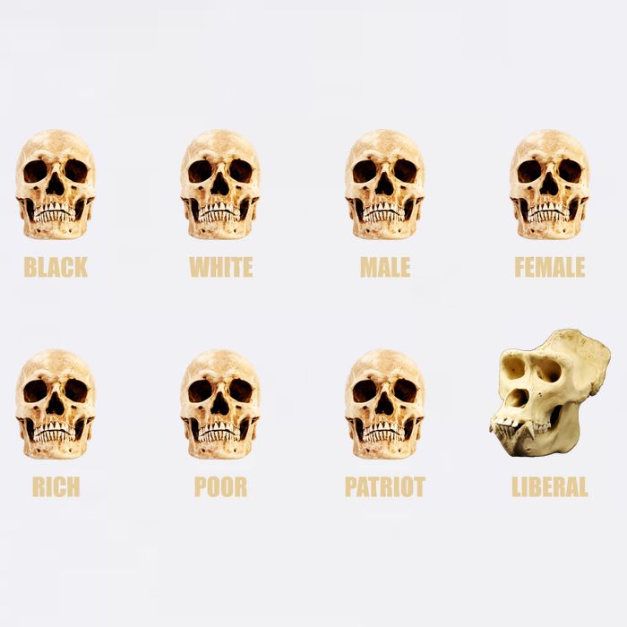 Skulls of Modern America Funny Liberal Monkey Skull Garment-Dyed Sweatshirt