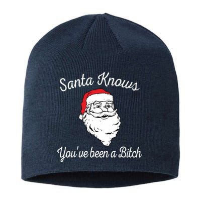 Santa Knows Youve Been A Bitch Offensive Funny Sustainable Beanie