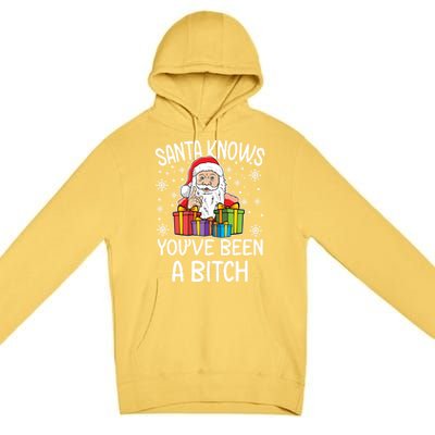 SantaS Know YouVe Been A Bitch Funny Santa Claus Christmas Gift Premium Pullover Hoodie