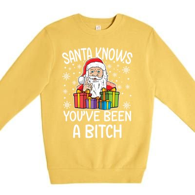 SantaS Know YouVe Been A Bitch Funny Santa Claus Christmas Gift Premium Crewneck Sweatshirt