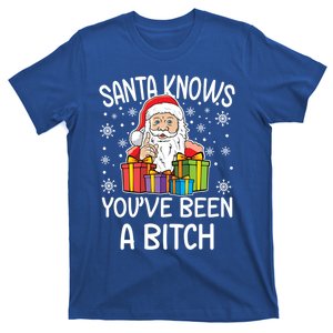 SantaS Know YouVe Been A Bitch Funny Santa Claus Christmas Gift T-Shirt