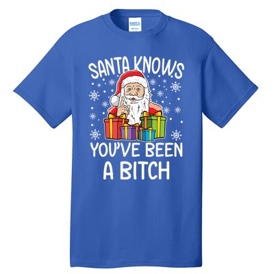 SantaS Know YouVe Been A Bitch Funny Santa Claus Christmas Gift Tall T-Shirt