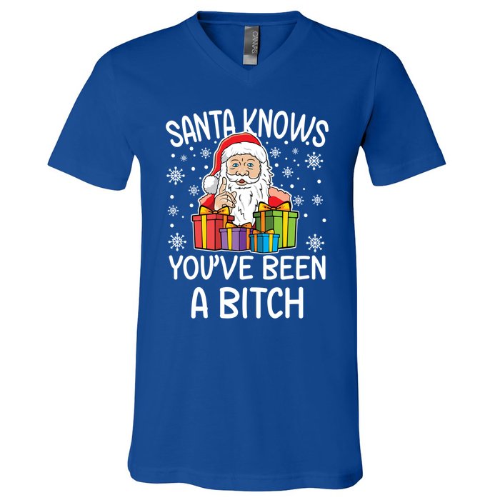 SantaS Know YouVe Been A Bitch Funny Santa Claus Christmas Gift V-Neck T-Shirt