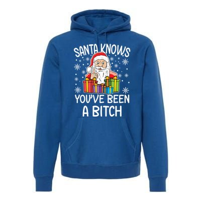 SantaS Know YouVe Been A Bitch Funny Santa Claus Christmas Gift Premium Hoodie