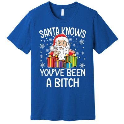 SantaS Know YouVe Been A Bitch Funny Santa Claus Christmas Gift Premium T-Shirt