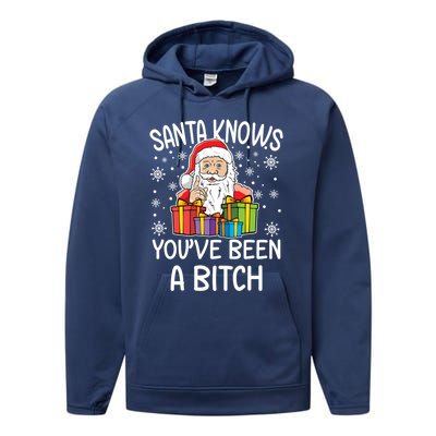 SantaS Know YouVe Been A Bitch Funny Santa Claus Christmas Gift Performance Fleece Hoodie