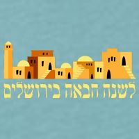 Skyline of Jerusalem Sueded Cloud Jersey T-Shirt