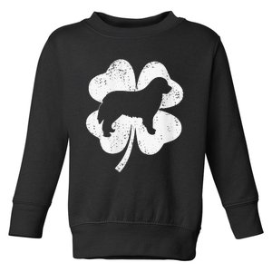 Shamrock Leaf Bernese Mountain Dog St. Patrick's Day Toddler Sweatshirt