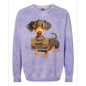 Short Legs Big Attitude Dachshund Cool Gift Colorblast Crewneck Sweatshirt