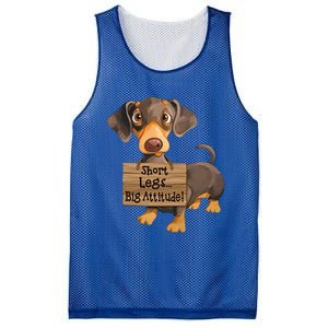 Short Legs Big Attitude Dachshund Cool Gift Mesh Reversible Basketball Jersey Tank