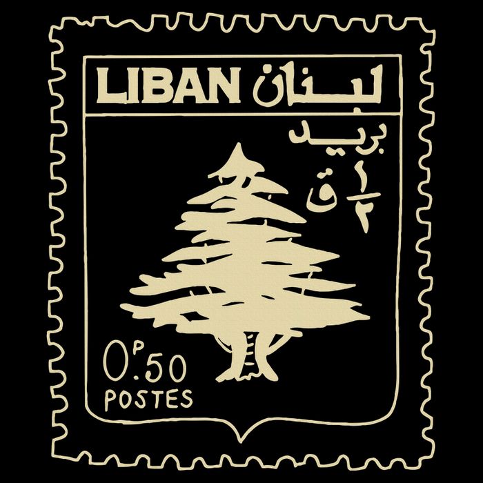 Support Lebanon Beirut Map Lebanese Flag 7-Panel Snapback Hat