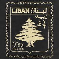 Support Lebanon Beirut Map Lebanese Flag 15oz Campfire Ceramic Mug