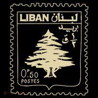 Support Lebanon Beirut Map Lebanese Flag Drawstring Bag