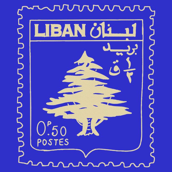 Support Lebanon Beirut Map Lebanese Flag Tumbler