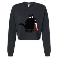 Spooky Lockdown Cat Cropped Pullover Crew