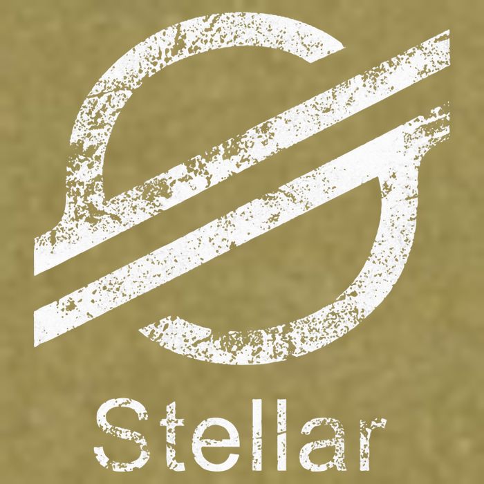 Stellar Lumens Crypto Xlm Token Decentralized Blockchain Garment-Dyed Women's Muscle Tee