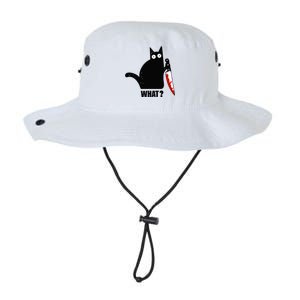 Spooky Lockdown Cat Legacy Cool Fit Booney Bucket Hat