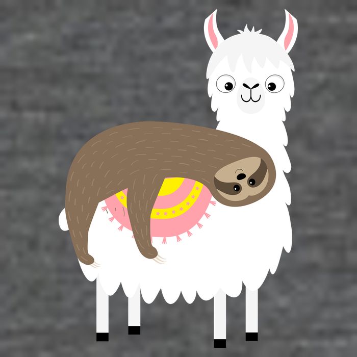 Sleeping Sloth On A Llama  Premium T-Shirt