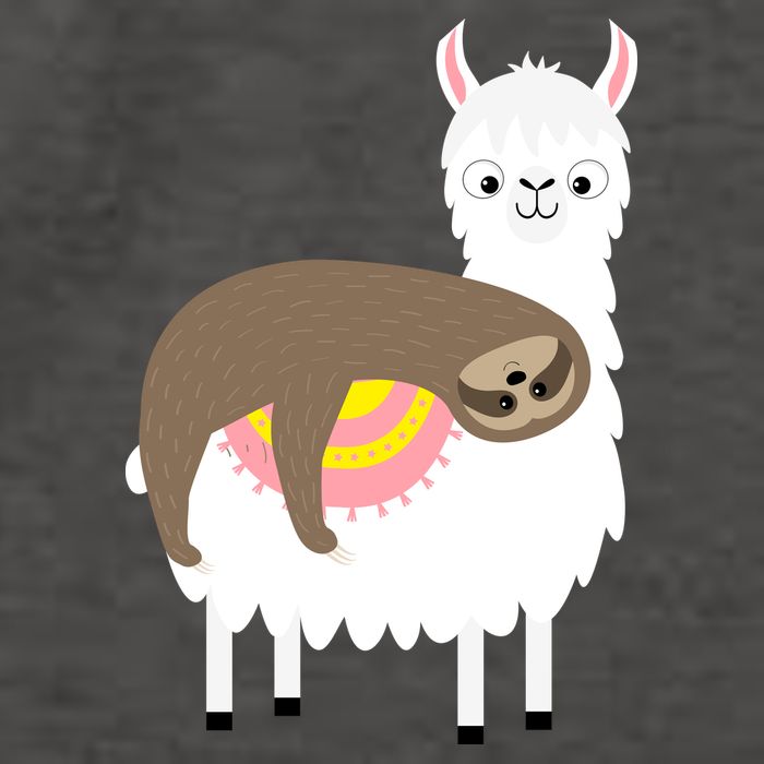 Sleeping Sloth On A Llama  Vector Backpack