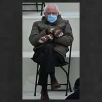 Sleepy Bernie Sanders Mittens Sitting Inauguration Adult Drive Performance Visor