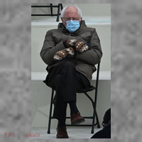 Sleepy Bernie Sanders Mittens Sitting Inauguration Women's V-Neck T-Shirt