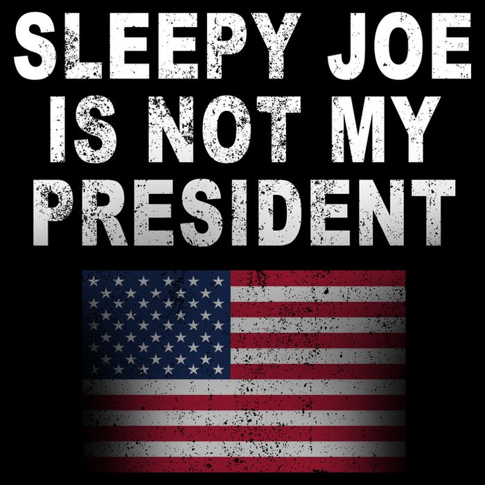 Sleepy Joe Is Not My President American Flag Cropped Pullover Crew