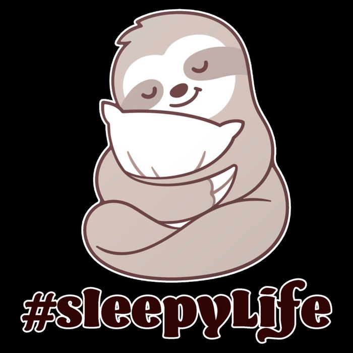Sleepy Life Sloth Sweatshirt