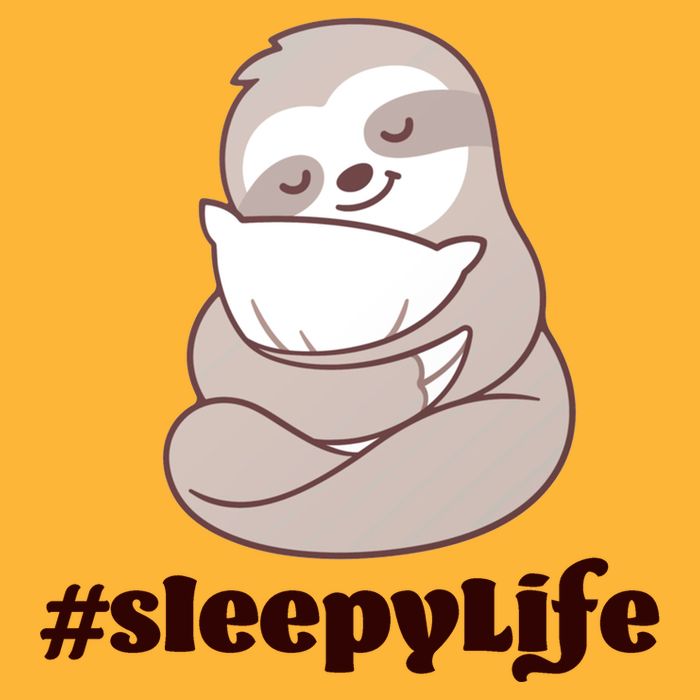 Sleepy Life Sloth Hoodie