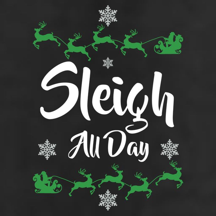 Sleigh All Day Adult Drive Performance Visor