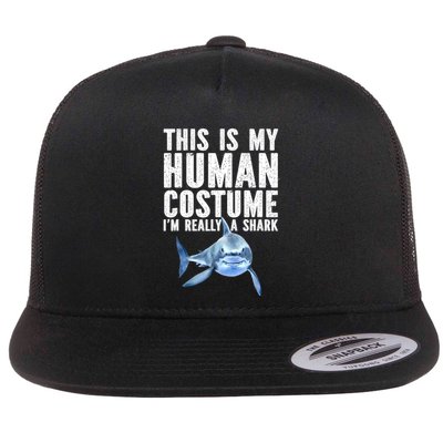 Shark Lover Funny Shark Sea Animals Shark Flatbill Hat