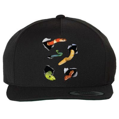 Snake Lover Funny Snake Reptile Lover Funny Snake Wool Snapback Cap